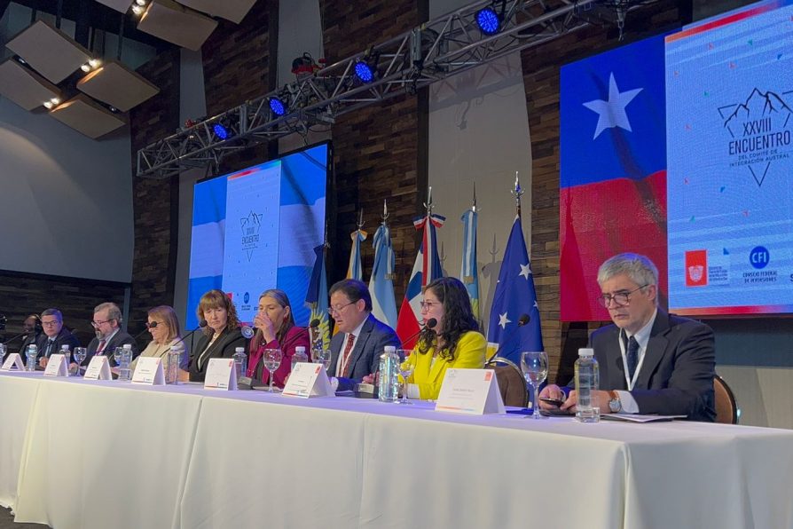 Comité de Integración Austral restableció trabajo bilateral entre regiones chilenas y provincias argentinas