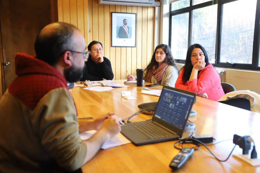 Mesa de Hanta Virus refuerza llamado a la prevención ante período de mayor ocurrencia de contagios en la Región de Aysén