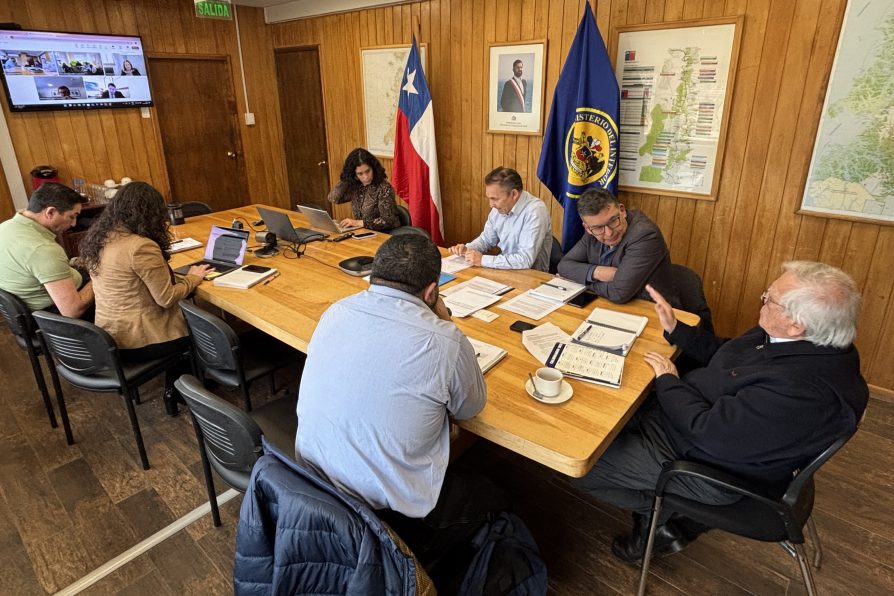 Ministra (s) de Hacienda confirma gestión coordinada para avanzar en proyecto Zona Franca de Aysén