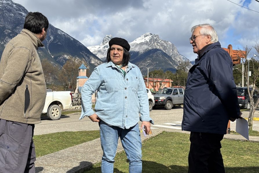 Alta participación en Gobierno en Terreno en La Tapera y Amengual