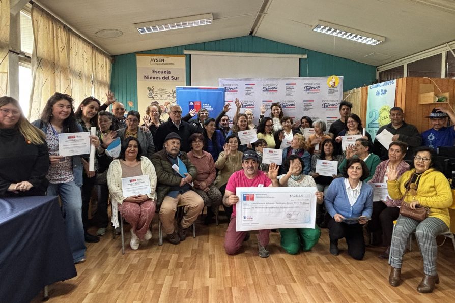 Más de 20 organizaciones reciben Fondo Social Presidente de la República