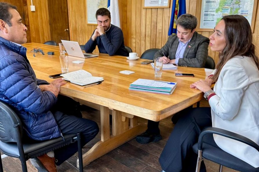 Delegada Vicuña: “El acceso a la vivienda es una necesidadque requiere celeridad y urgencia”