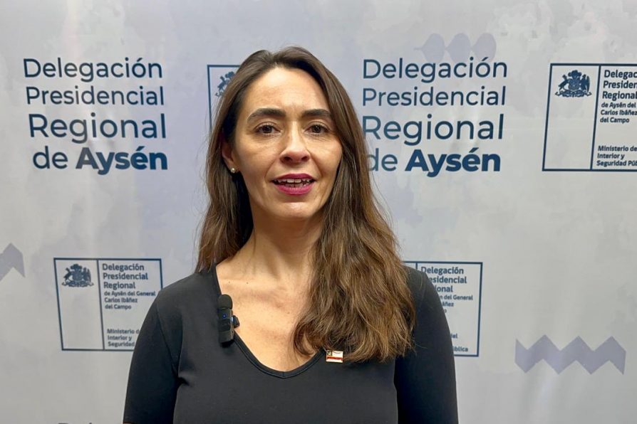 Delegación Presidencial ratifica continuidad de programa de entega de leña