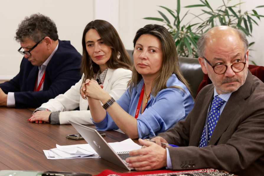 Delegada Presidencial participa en reunión con Ministra de Salud para avanzar en proyecto oncológico para Aysén
