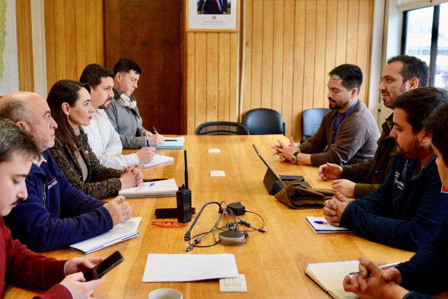 Gobierno refuerza coordinación intersectorial para apoyar a municipios y llegar a familias de zonas rurales afectadas por la acumulación de nieve